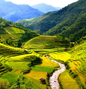 Asia